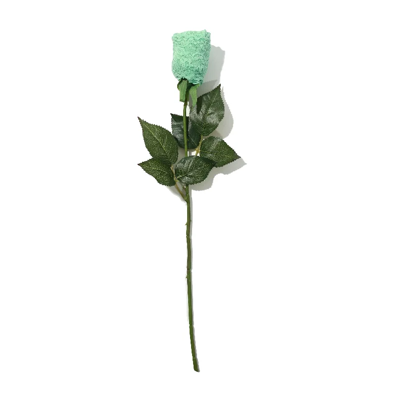 seamless high - cut women thongs for a seamless silhouetteSignature Lace Low Rise Thong Rose Mint Sprig Green seamless high - cut women thongs for a seamless silhouetteSignature Lace Low Rise Thong Rose Mint Sprig Green