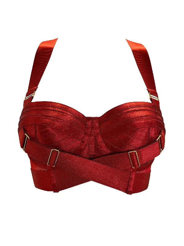 Sexy Lingerie for Women with Stockings Signature Panelled Bodice Bra Burnt Red