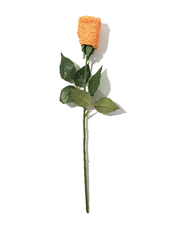 seamless push - up women thongs for a natural liftSignature Lace Original Rise Thong Rose Ginger Shot Orange seamless push - up women thongs for a natural liftSignature Lace Original Rise Thong Rose Ginger Shot Orange