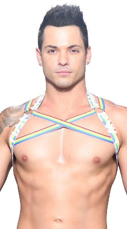 Women's Corset Style Lingerie Men's Pride Stripe Harness