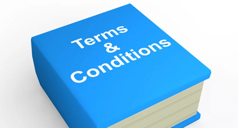 Terms & Conditions These terms define the rules for using our website and services.